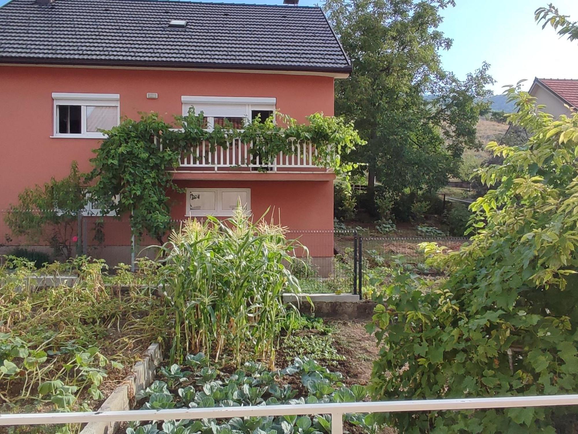 Apartman Bor Лівно Екстер'єр фото